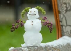 Kas jāzina par laikapstākļiem no 12. aprīļa: sinoptiķu prognoze 7 dienām uz priekšu