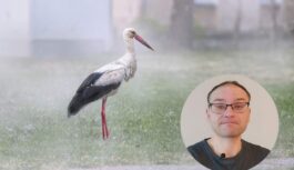 Laika ziņu eksperts Toms Bricis atklāj, ka šajā nedēļā debesis virs Latvijas būs raibas: “Šodien gaidāma krusa”