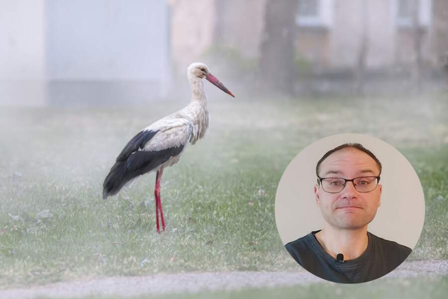 Laika ziņu eksperts Toms Bricis atklāj, ka šajā nedēļā debesis virs Latvijas būs raibas: “Šodien gaidāma krusa”