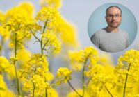 Sinoptiķis Toms Bricis sola dramatiskas brīvdienas: “Pavasaris vēl tikai uzņems apgriezienus”