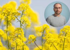 Sinoptiķis Toms Bricis sola dramatiskas brīvdienas: “Pavasaris vēl tikai uzņems apgriezienus”