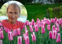 Pirmais +20 grādu siltums un “bezdelīgu sniegs” – dabas vērotāja Bukša prognoze liek sarosīties