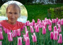 Pirmais +20 grādu siltums un “bezdelīgu sniegs” – dabas vērotāja Bukša prognoze liek sarosīties