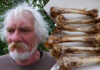 Aizgājām, pie kaimiņa Pētera uz svinībām, pēc laika viņš no visiem šķīvjiem salasīja vistu kauliņus un salika tos maisiņā Aizgājām, pie kaimiņa Pētera uz svinībām, pēc laika viņš no visiem šķīvjiem salasīja vistu kauliņus un salika tos maisiņā