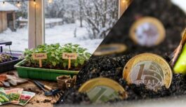 “Domāju, ka tas ir skaists augs, bet izrādās, ka par to audzēšanu var saņem sodu”: 4 augi, kurus 2025. gadā aizliegs audzēt tavā dārzā