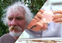 Lilitas vīrs aizgāja viņsaulē 64 gadu vecumā un visa viņa lielā pensija palika valstij – laulātā rūgti nožēlo pieļauto kļūdu