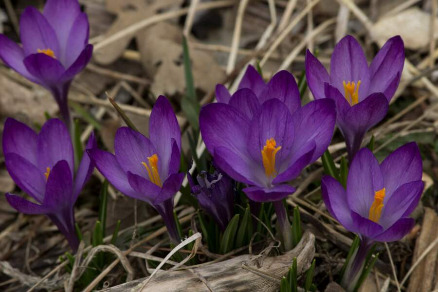 Sākot ar 20. aprīli, gaidāmas krasas laikapstākļu izmaiņas – šādas parādības fiksētas pirms vairākiem gadiem