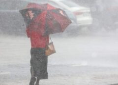 Šķiet, ka pavasaris mūs nolēmis nedaudz pārbaudīt: kad atgriezīsies siltais laiks