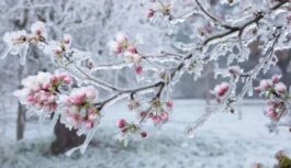 Pavasara siltums atkāpjas: sinoptiķi krasi mainījuši maija prognozi – ko sagaidīsim