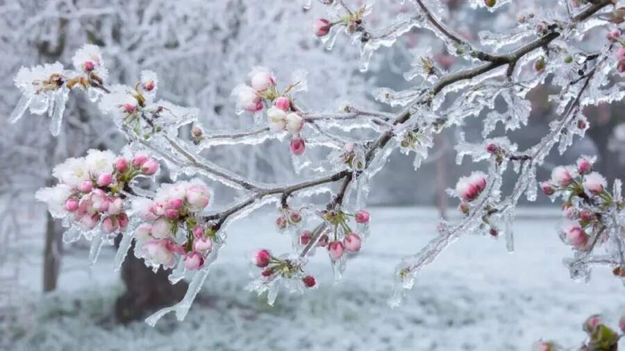 Pavasara siltums atkāpjas: sinoptiķi krasi mainījuši maija prognozi – ko sagaidīsim