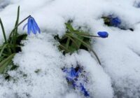 Meteorologi skaidro, ka drīzumā pavasaris parādīs savus “zobiņus”: vairāk būs jūtams uz nedēļas vidu Meteorologi skaidro, ka drīzumā pavasaris parādīs savus “zobiņus”: vairāk būs jūtams uz nedēļas vidu