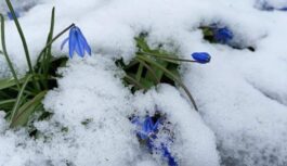 Meteorologi skaidro, ka drīzumā pavasaris parādīs savus “zobiņus”: vairāk būs jūtams uz nedēļas vidu Meteorologi skaidro, ka drīzumā pavasaris parādīs savus “zobiņus”: vairāk būs jūtams uz nedēļas vidu