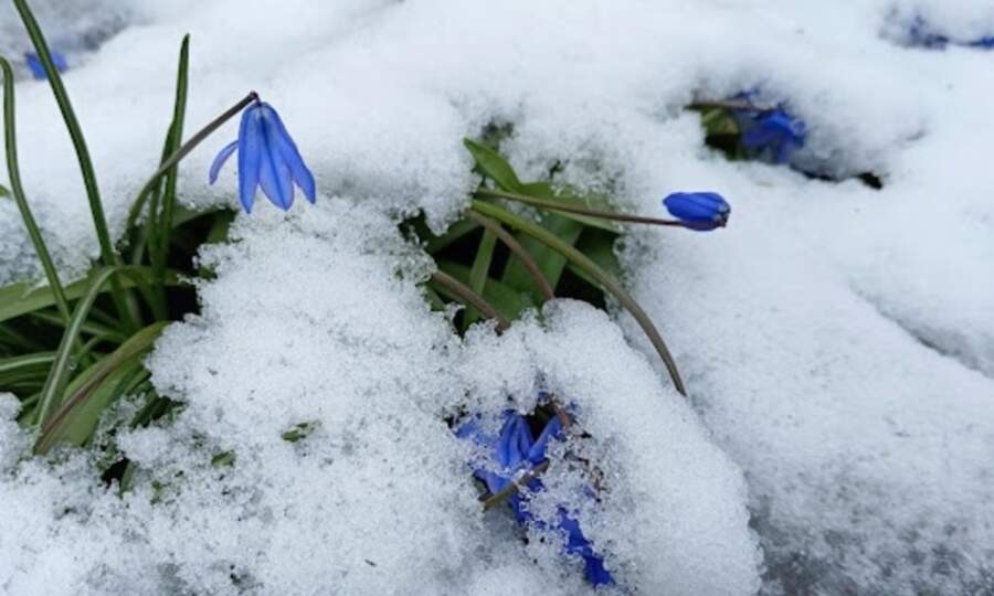 Meteorologi skaidro, ka drīzumā pavasaris parādīs savus “zobiņus”: vairāk būs jūtams uz nedēļas vidu