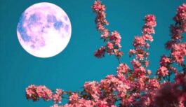 “Neskatieties zvaigznēs un neklājiet gultu”: senie brīdinājumi, kas 3. aprīli padara īpašu