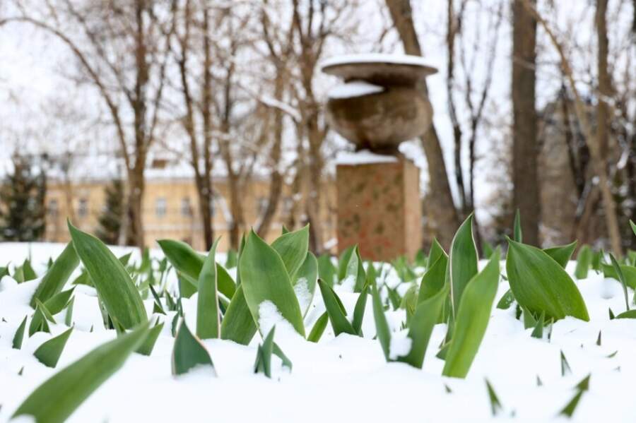 Vētras, sniegs, lietus: meteorologi atklāj ko sagaidīt no laikapstākļiem sākot no 8.aprīļa