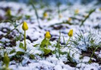 Pavasara idille beigsies strauji: meteorologi publicē skarbu laikapstākļu prognozi nedēļas nogalei