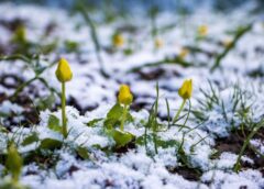 Pavasara idille beigsies strauji: meteorologi publicē skarbu laikapstākļu prognozi nedēļas nogalei