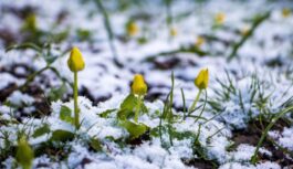 Pavasara idille beigsies strauji: meteorologi publicē skarbu laikapstākļu prognozi nedēļas nogalei