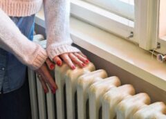 Sinoptiķi atklāj kādi laikapstākļi gaidāmi “ievziedu laikā”: temperatūras pazemināšanās ir neizbēgama